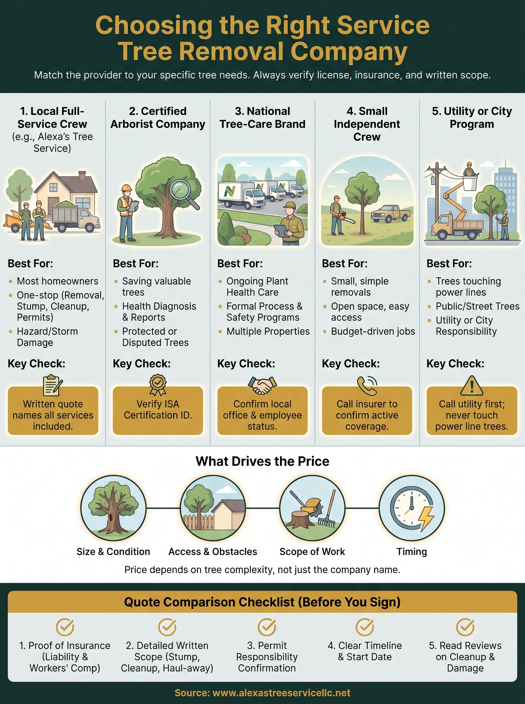 service tree removal infographic