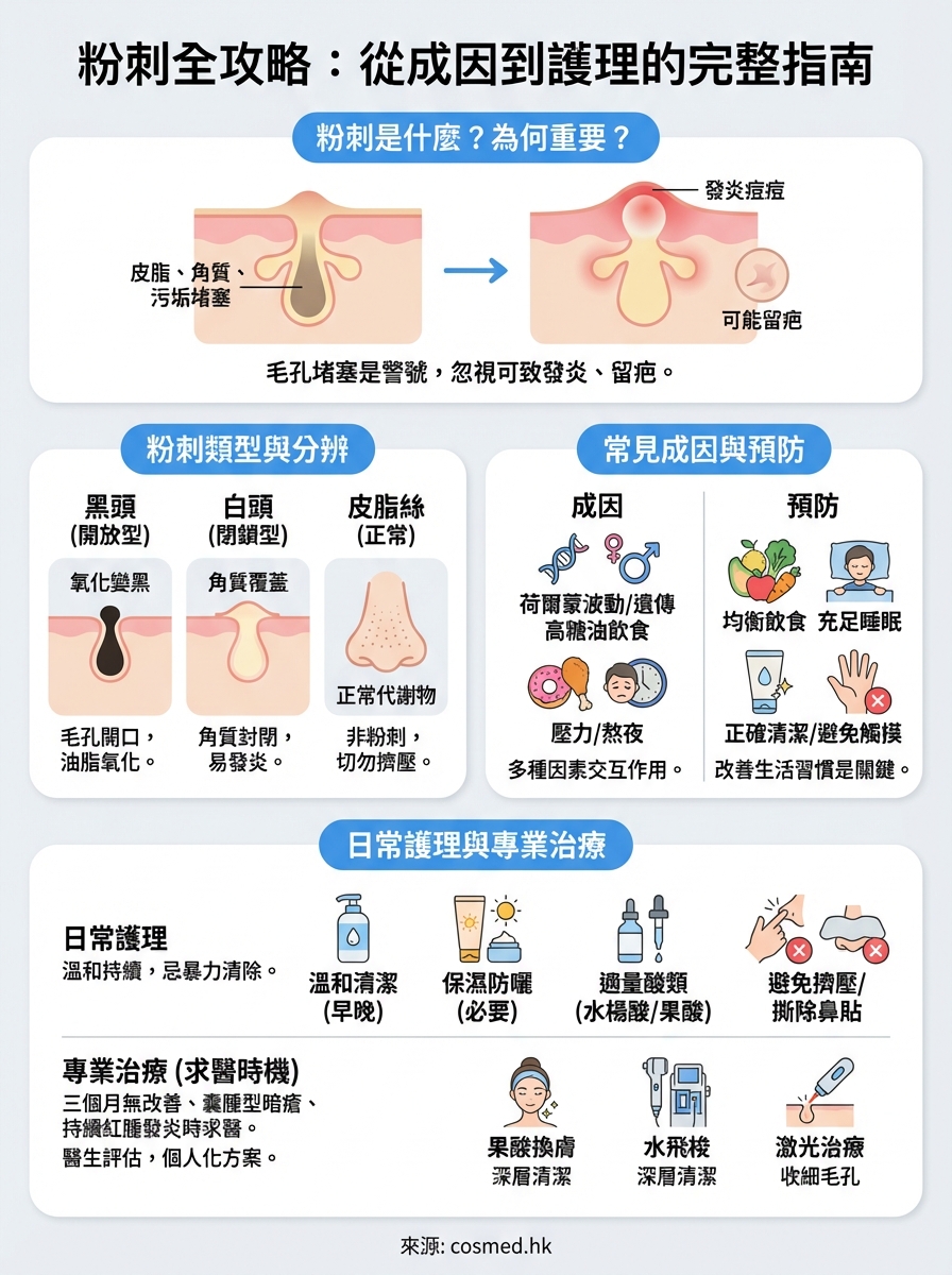 粉刺是什麼 infographic