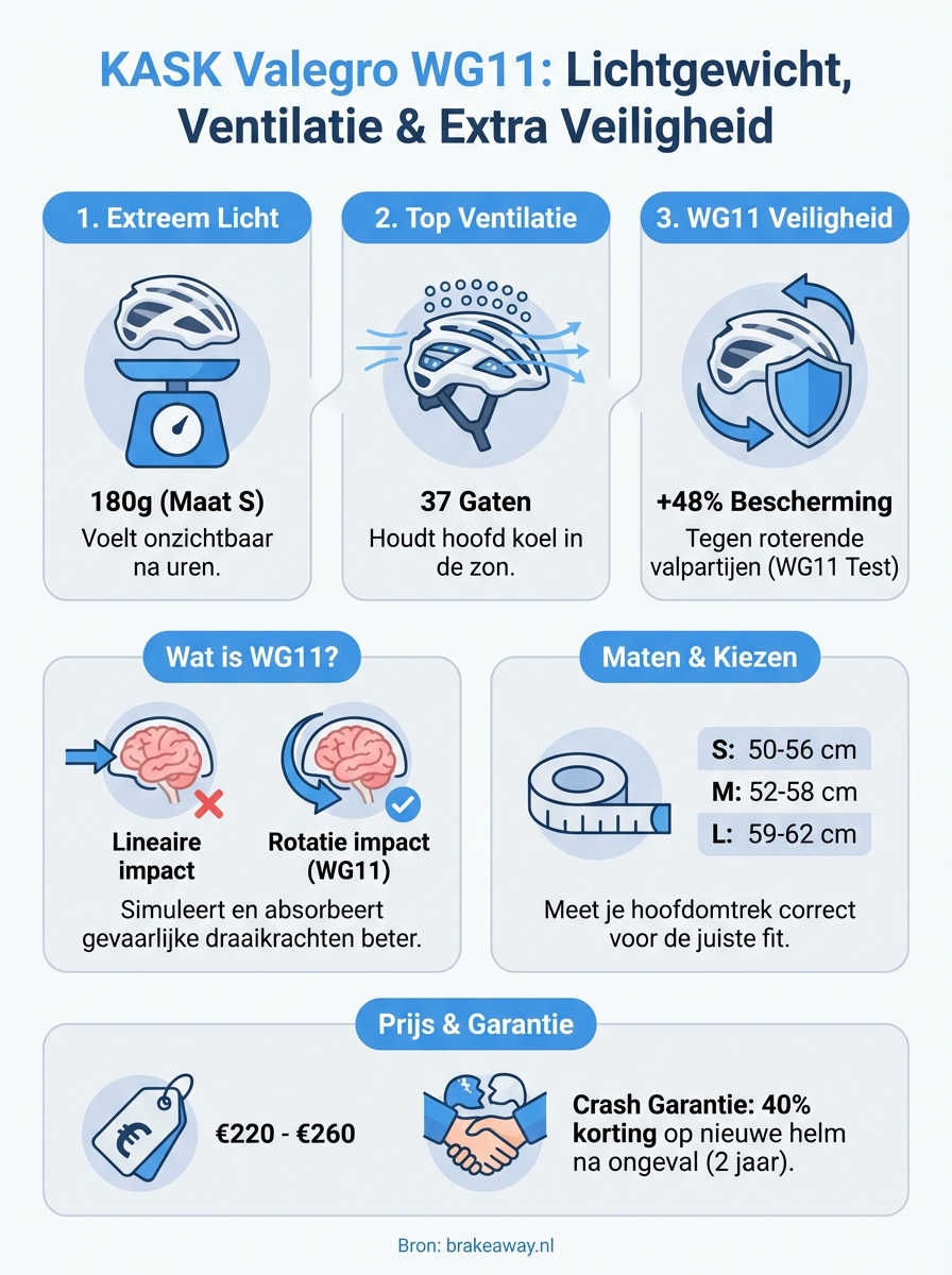 kask valegro wg11 infographic