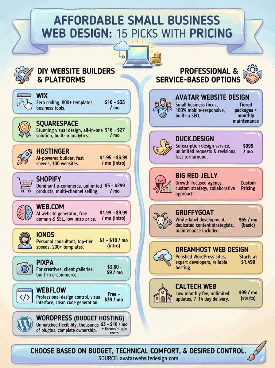affordable small business web design infographic