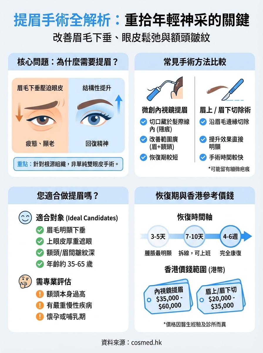 提眉是什麼 infographic