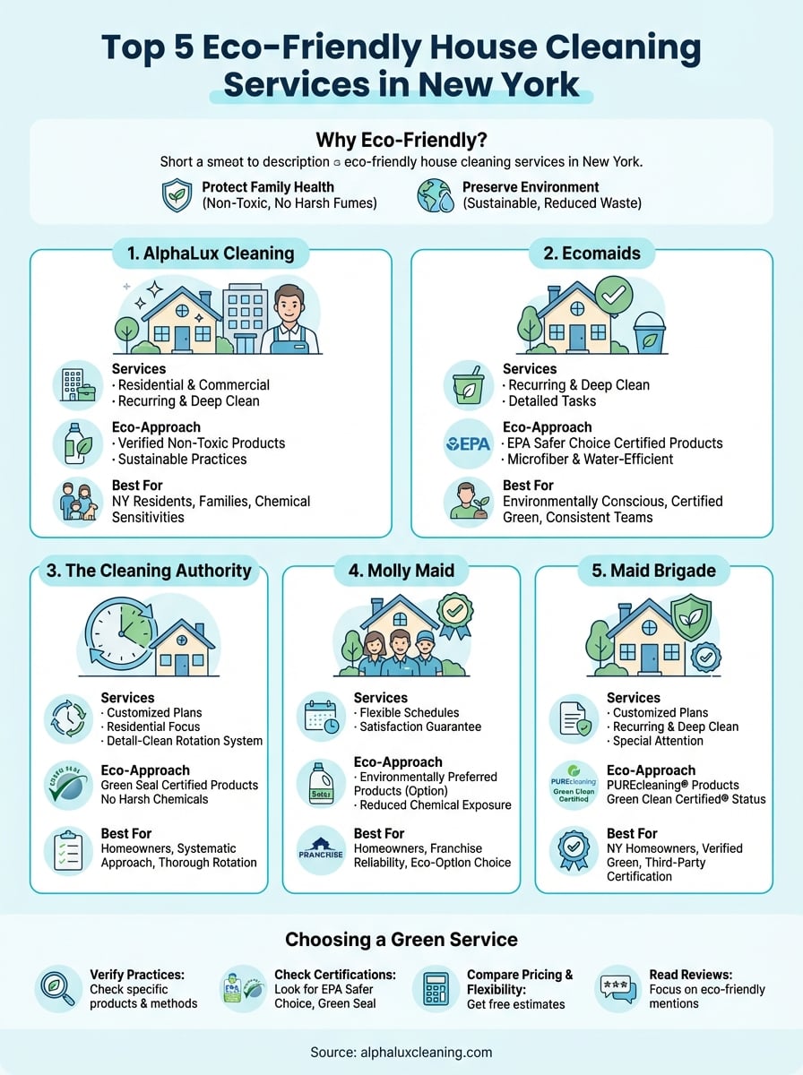 eco-friendly house cleaning services infographic