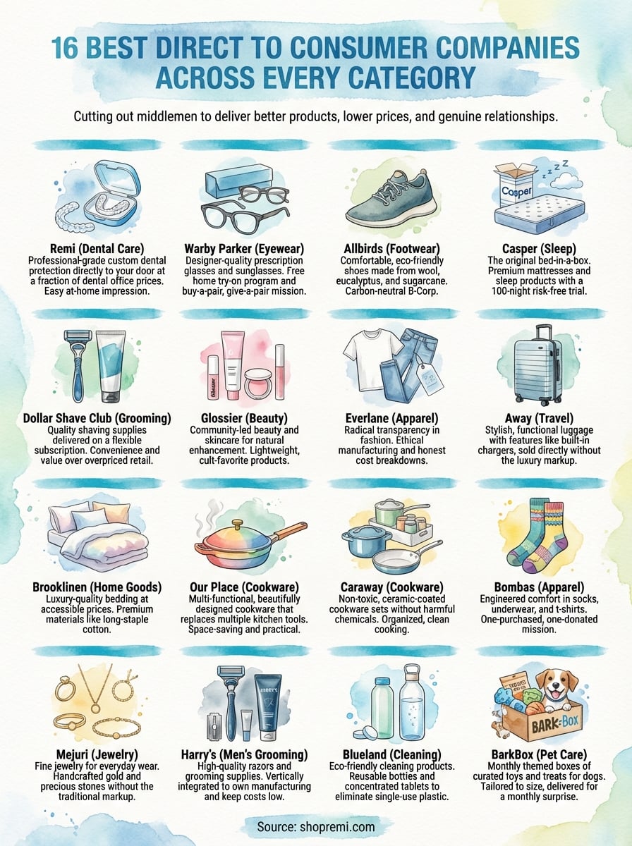 best direct to consumer companies infographic