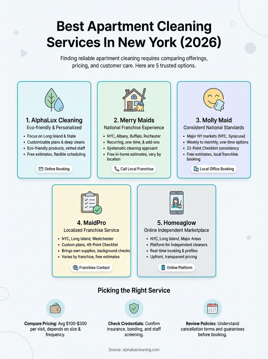 apartment cleaning services infographic