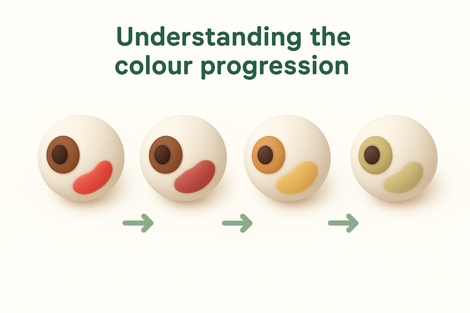Understanding the colour progression