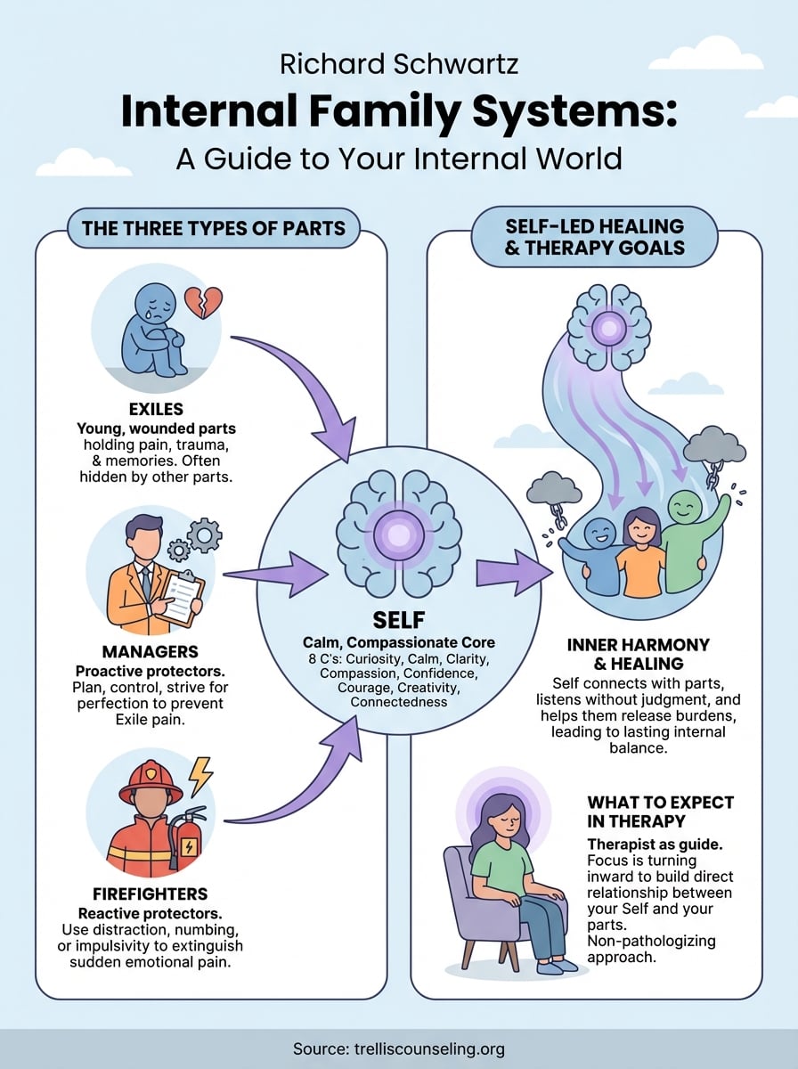richard schwartz internal family systems infographic