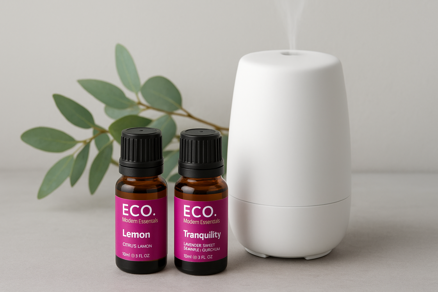 5. ECO. Modern Essentials