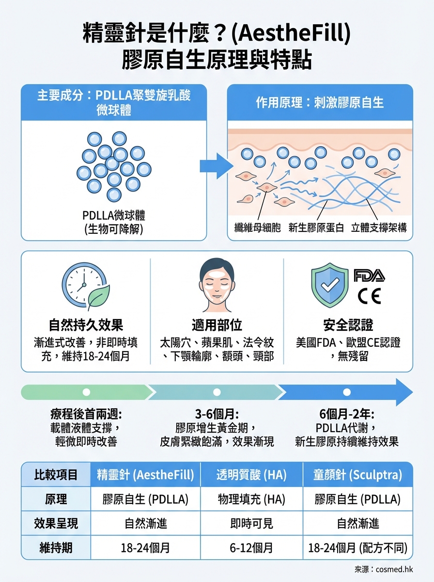精靈針是什麼 infographic