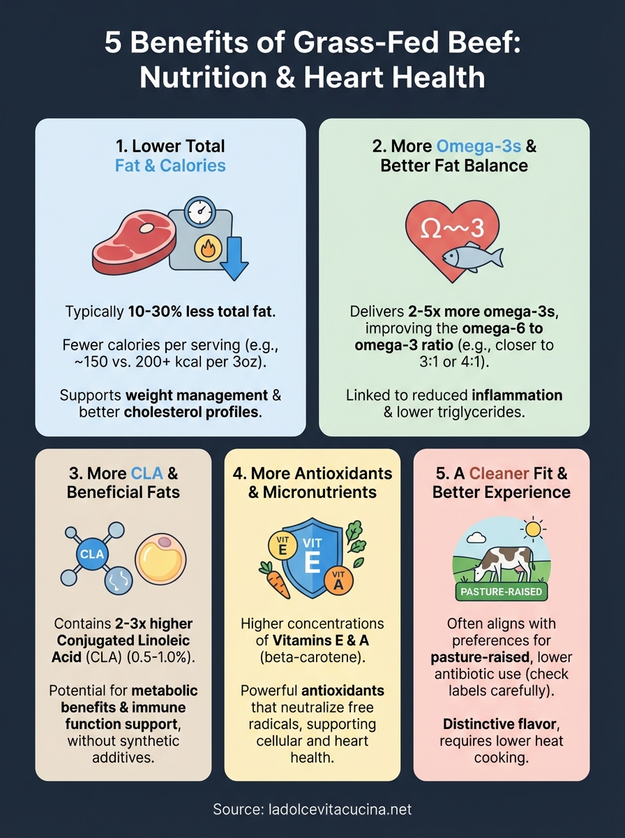 benefits of grass fed beef infographic