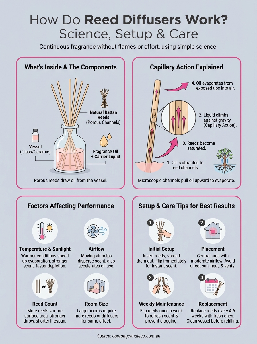 how do reed diffusers work infographic