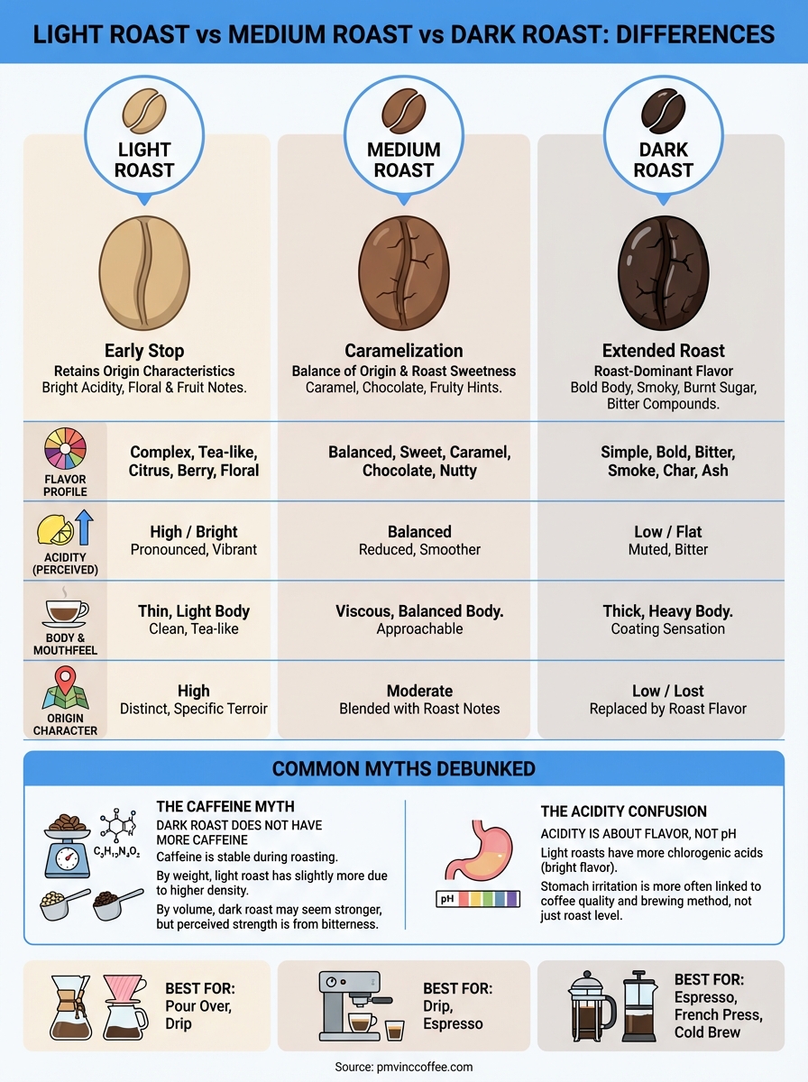 light roast vs medium roast vs dark roast infographic