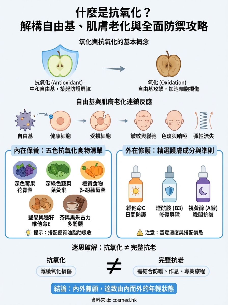 什麼是抗氧化 infographic