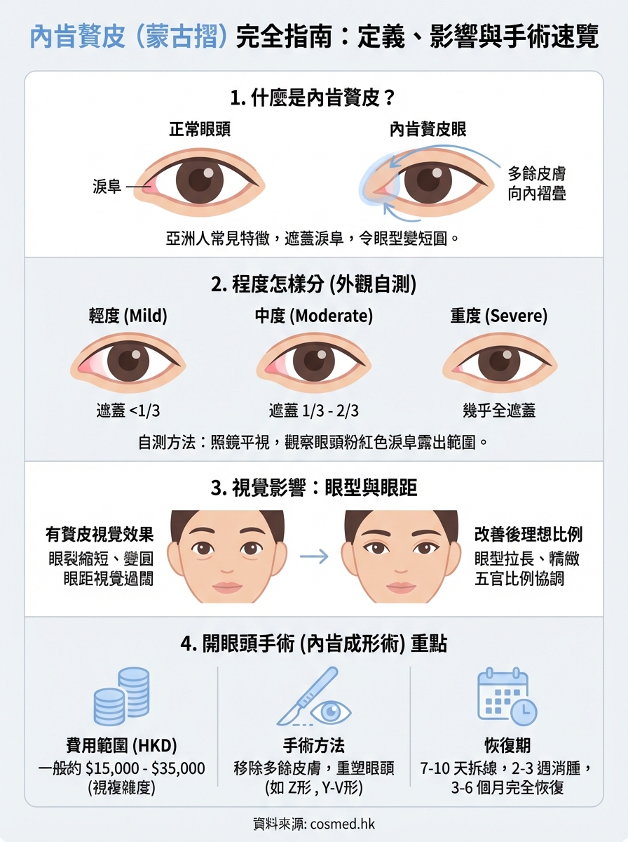 內眥贅皮是什麼 infographic