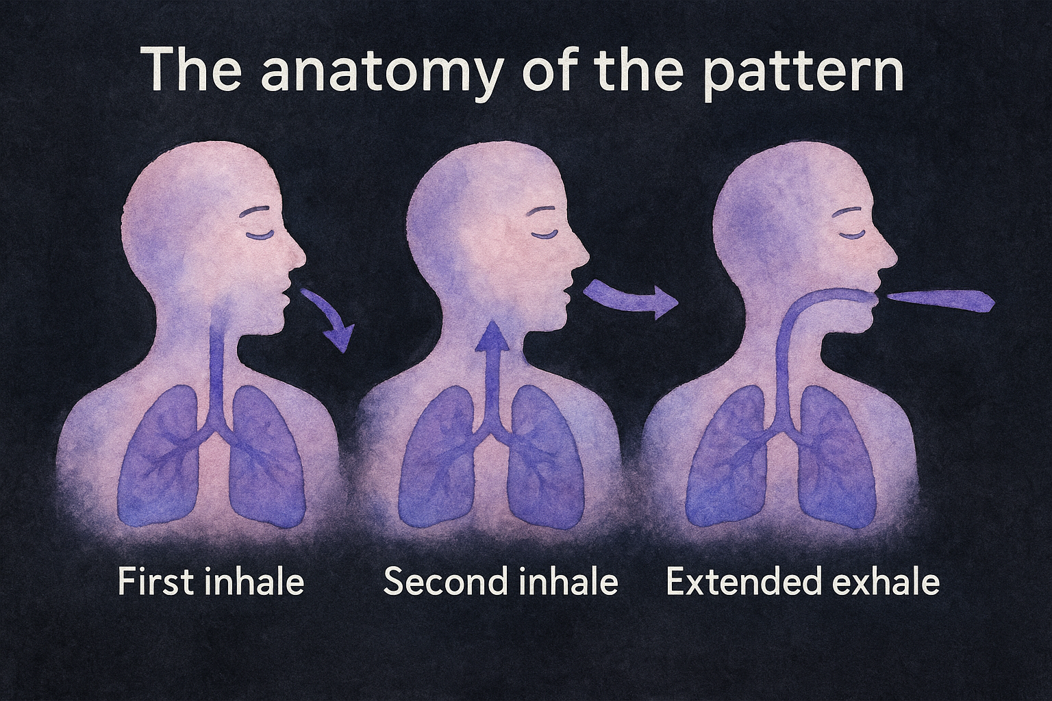 The anatomy of the pattern