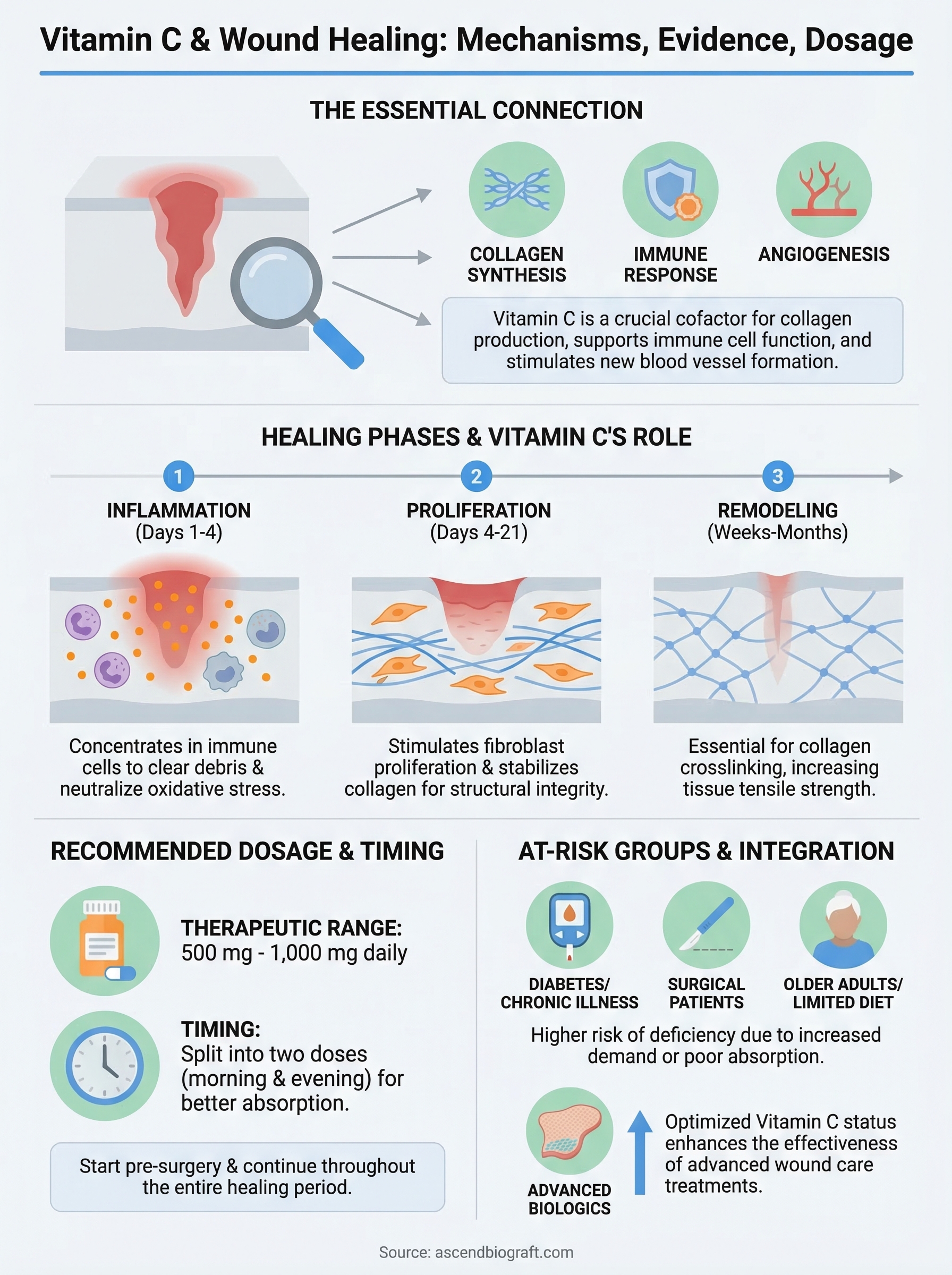 vitamin c and wound healing infographic
