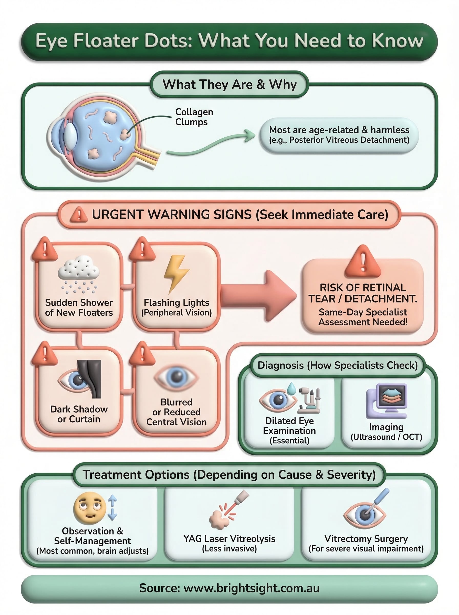 eye floater dots infographic