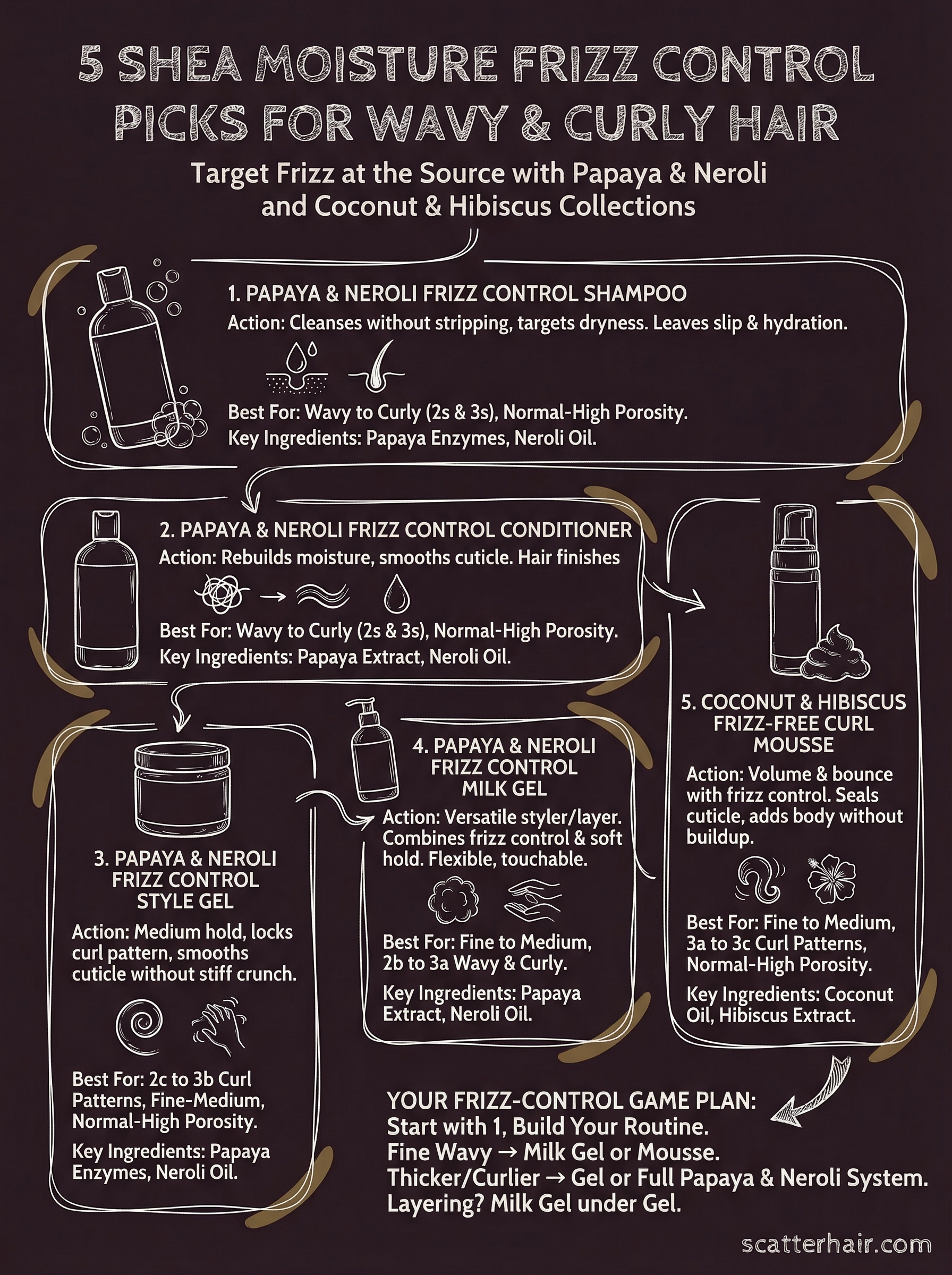 shea moisture frizz control infographic