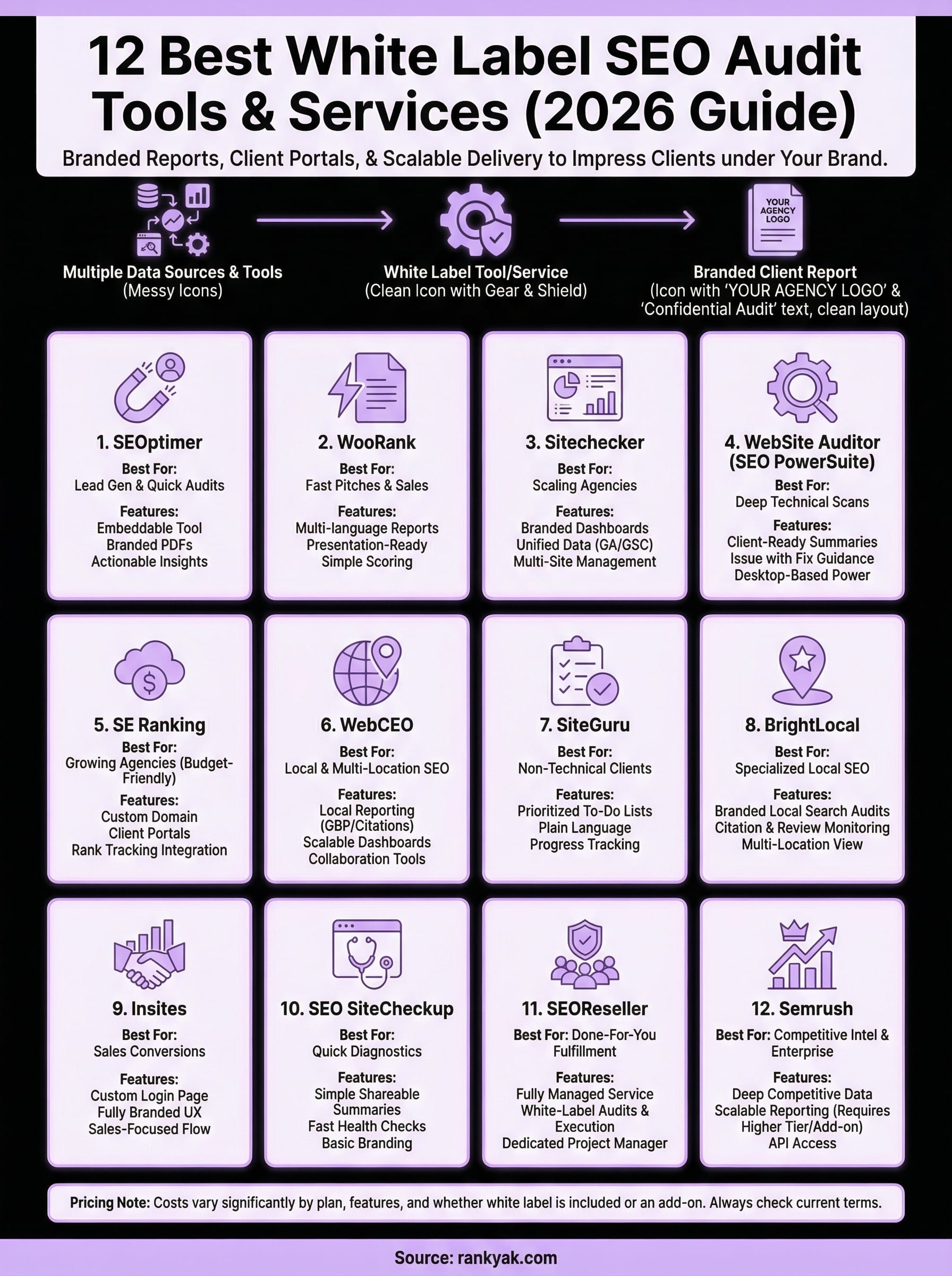 white label seo audit infographic