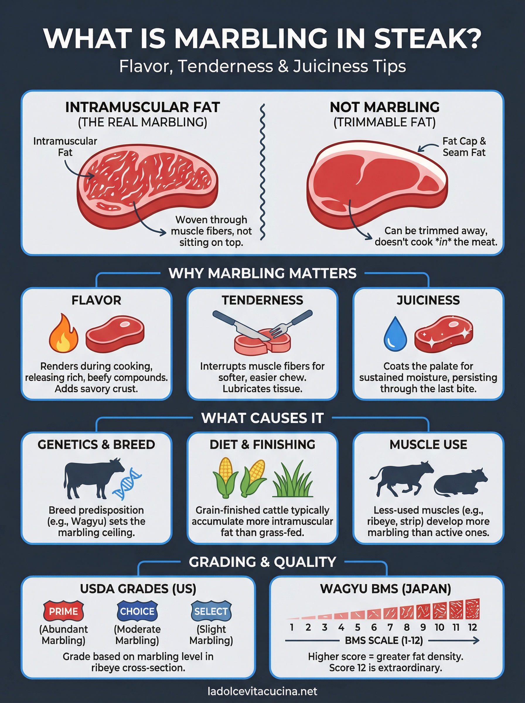 what is marbling in steak infographic
