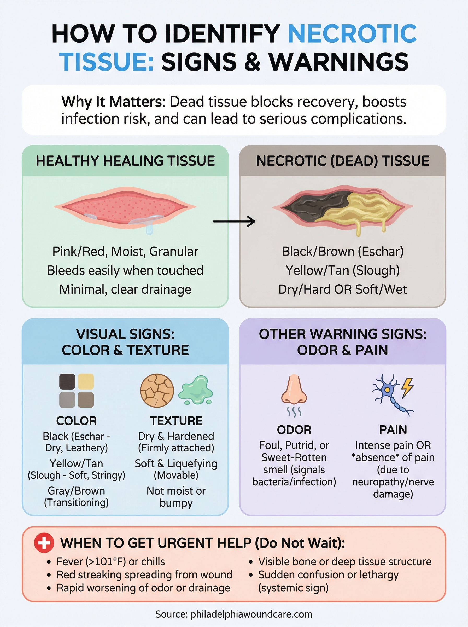 How To Identify Necrotic Tissue Signs Color Odor Pain 