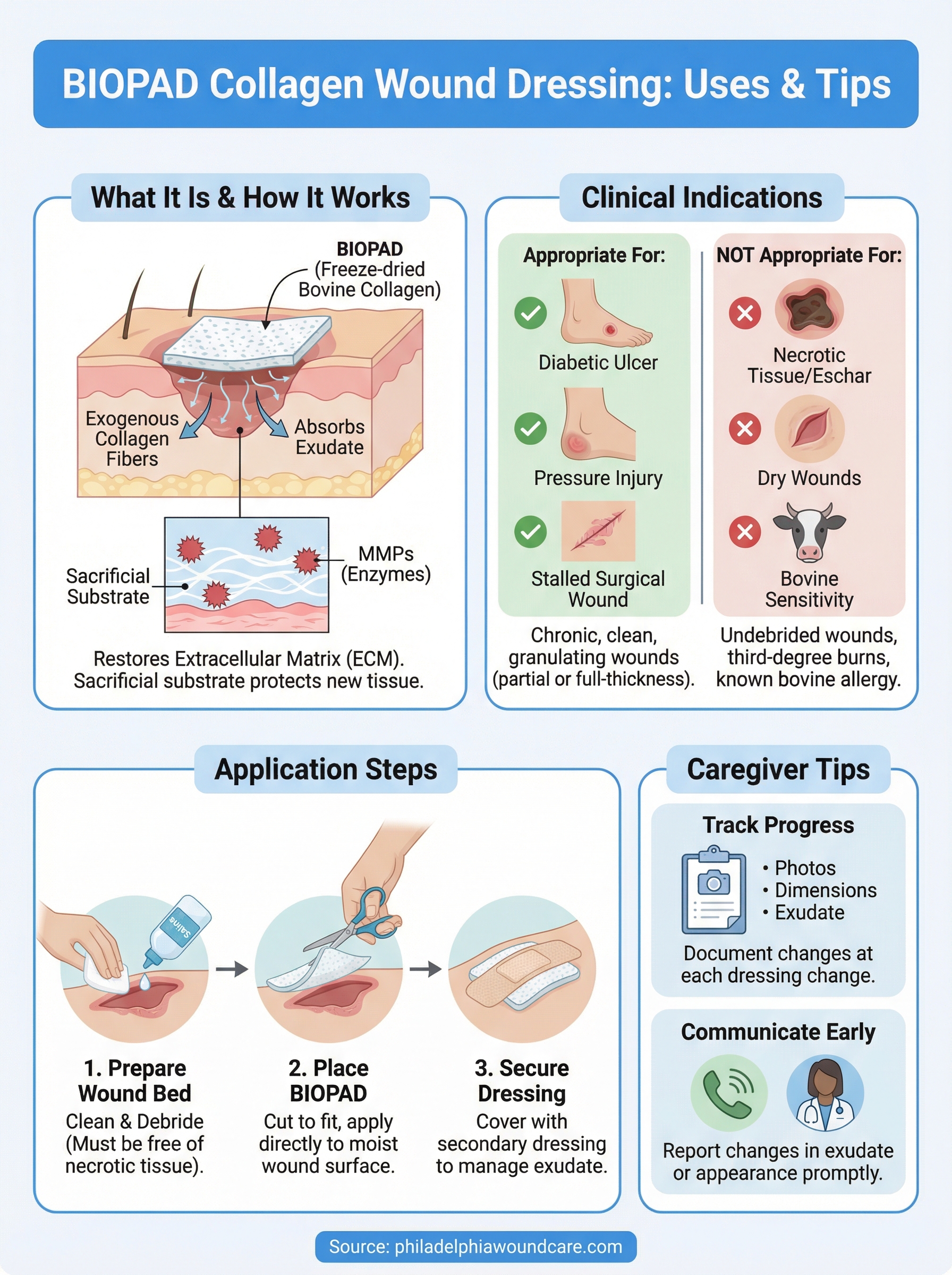 biopad collagen wound dressing infographic
