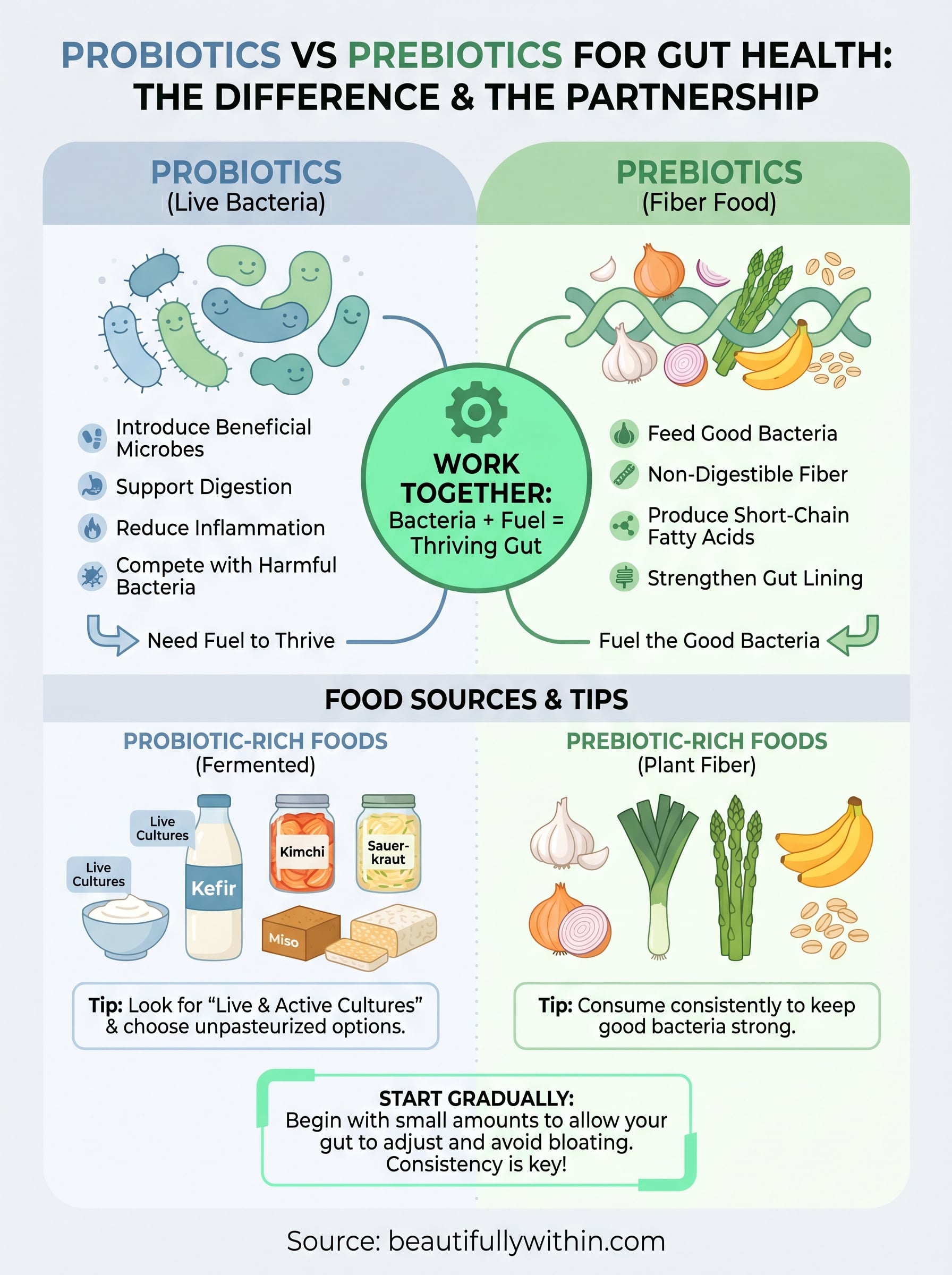 probiotics vs prebiotics for gut health infographic