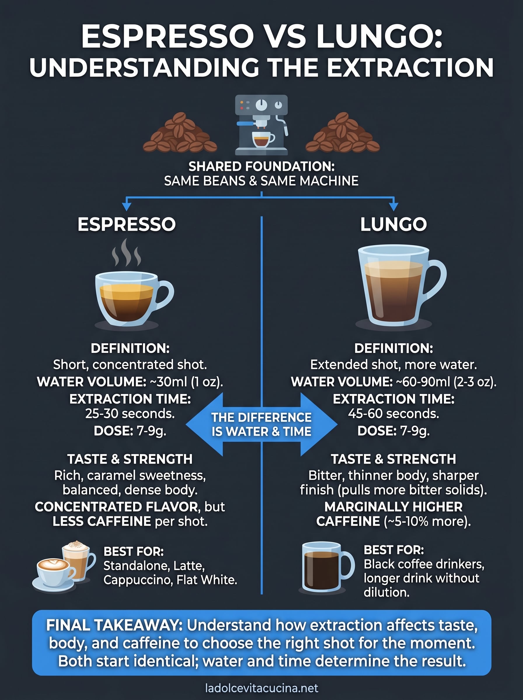 espresso vs lungo infographic