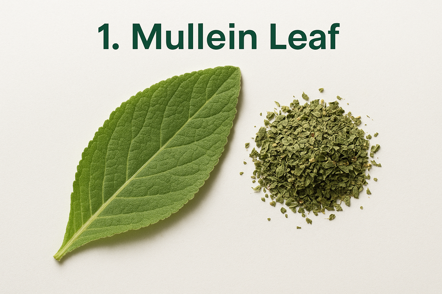 1. Mullein Leaf