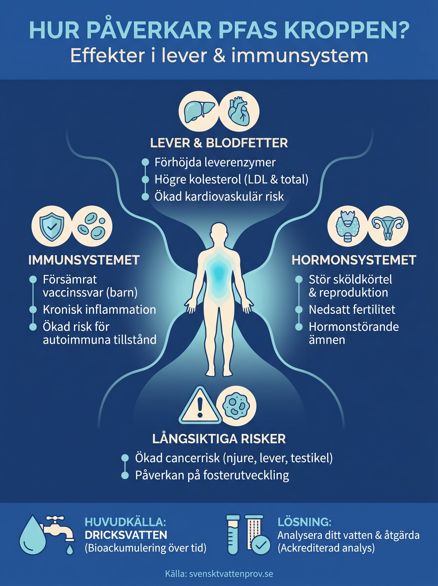 hur påverkar pfas kroppen infographic