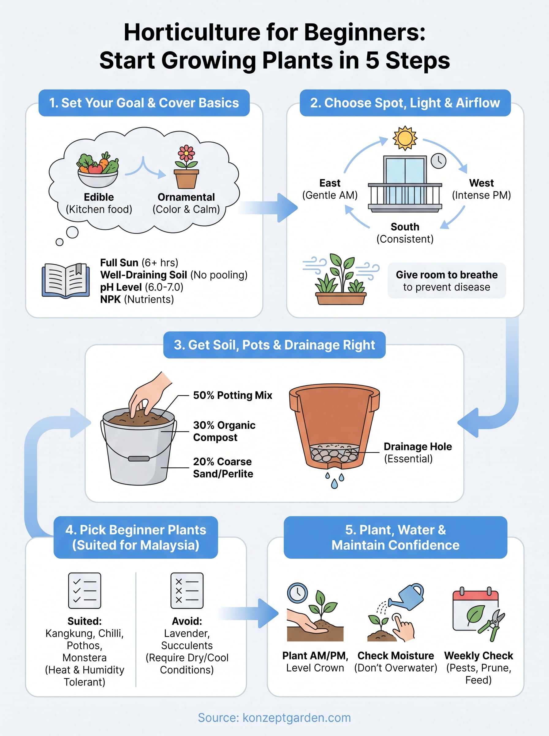 horticulture for beginners infographic