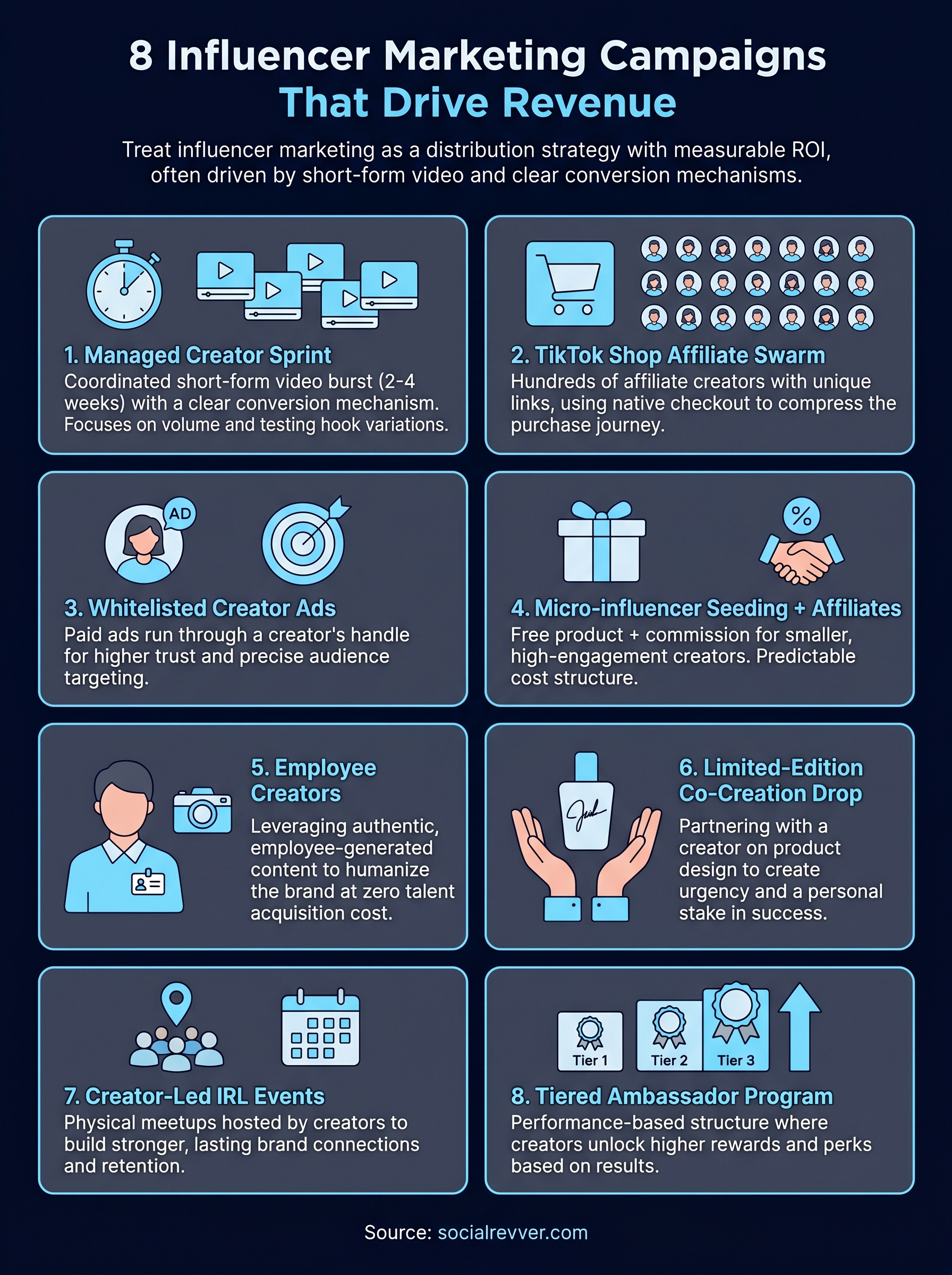 influencer marketing campaign examples infographic