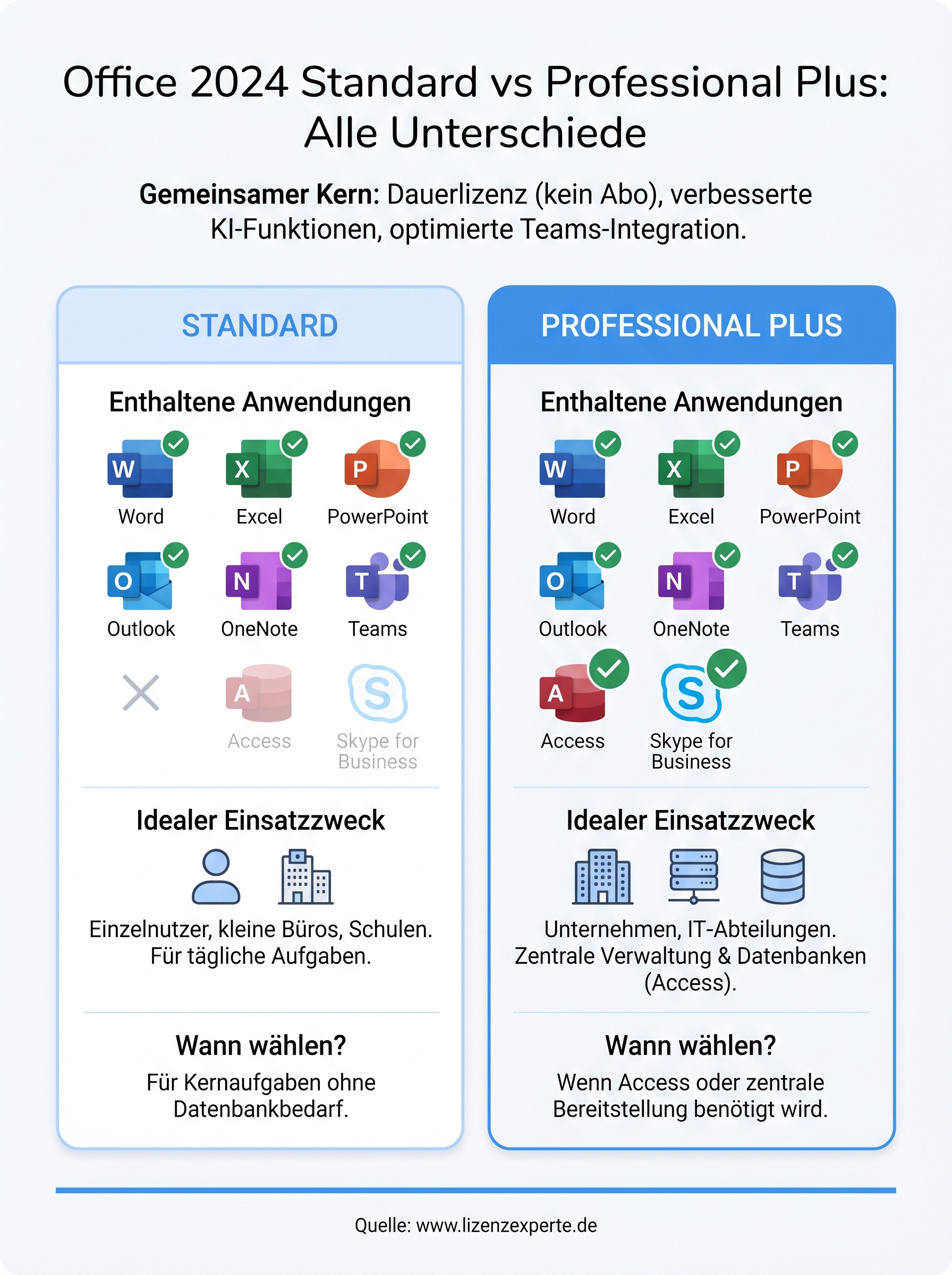 office 2024 standard vs professional plus infographic