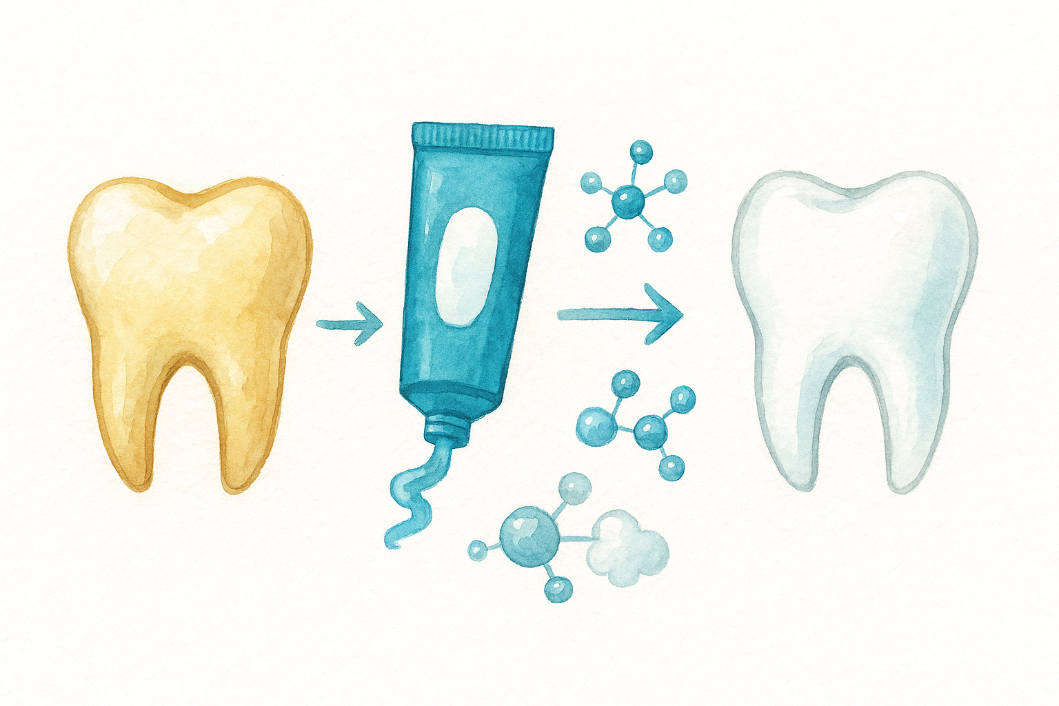 The chemical breakdown of stain molecules