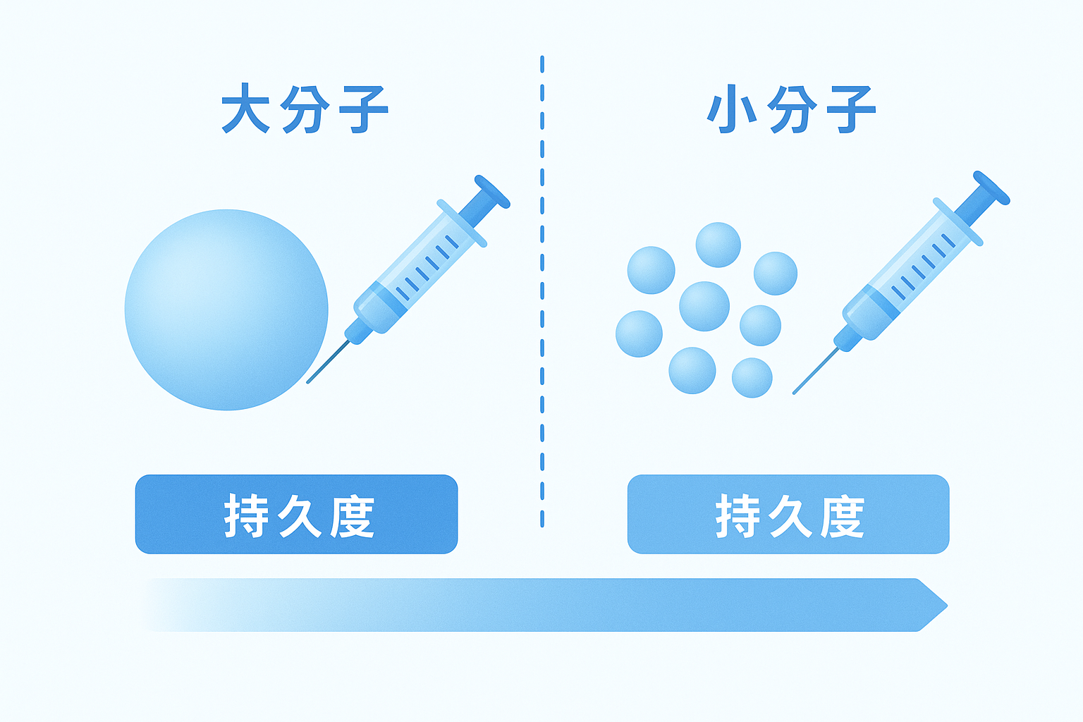 分子大小與交聯度點樣影響持久度
