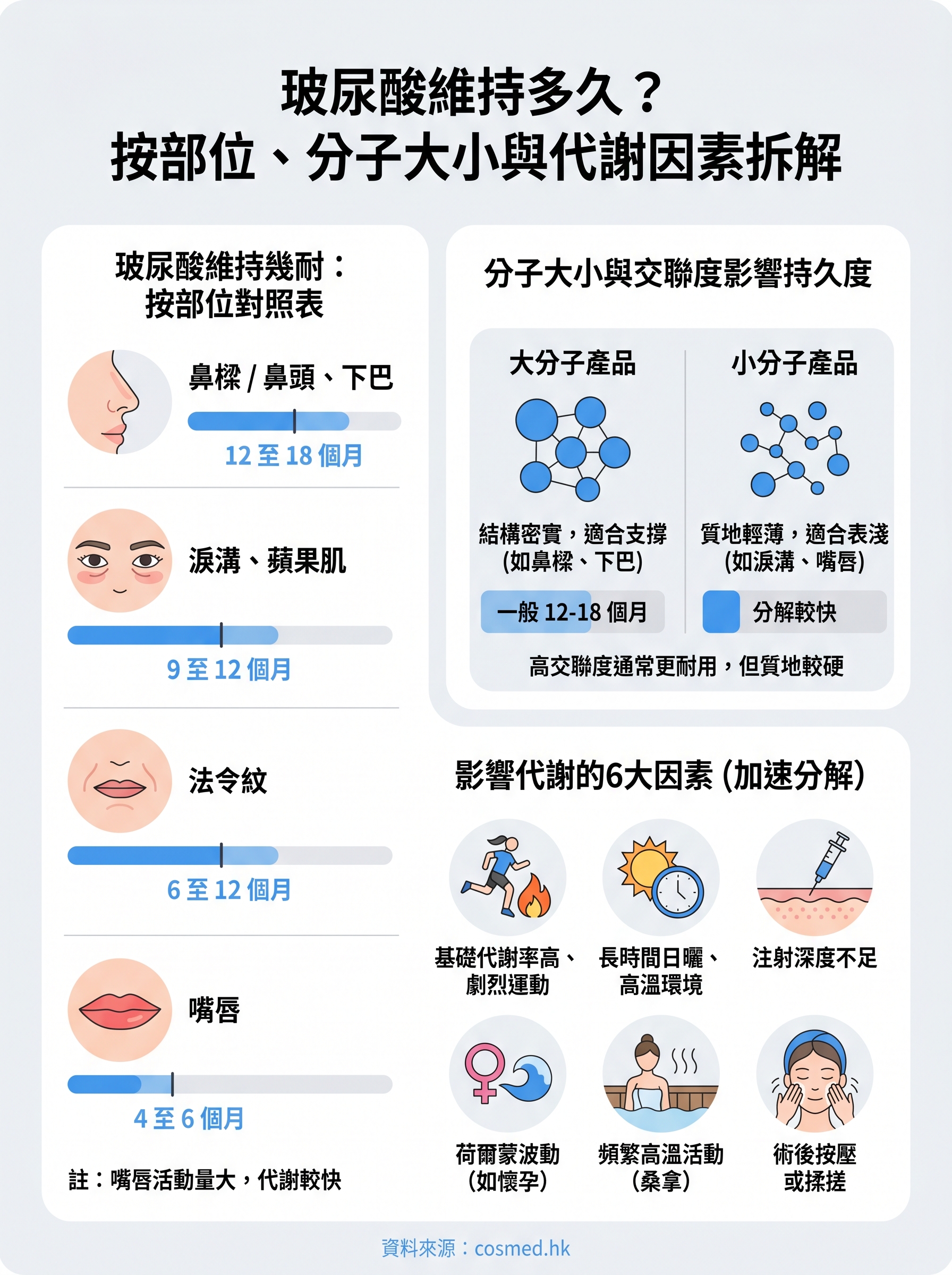 玻尿酸維持多久 infographic