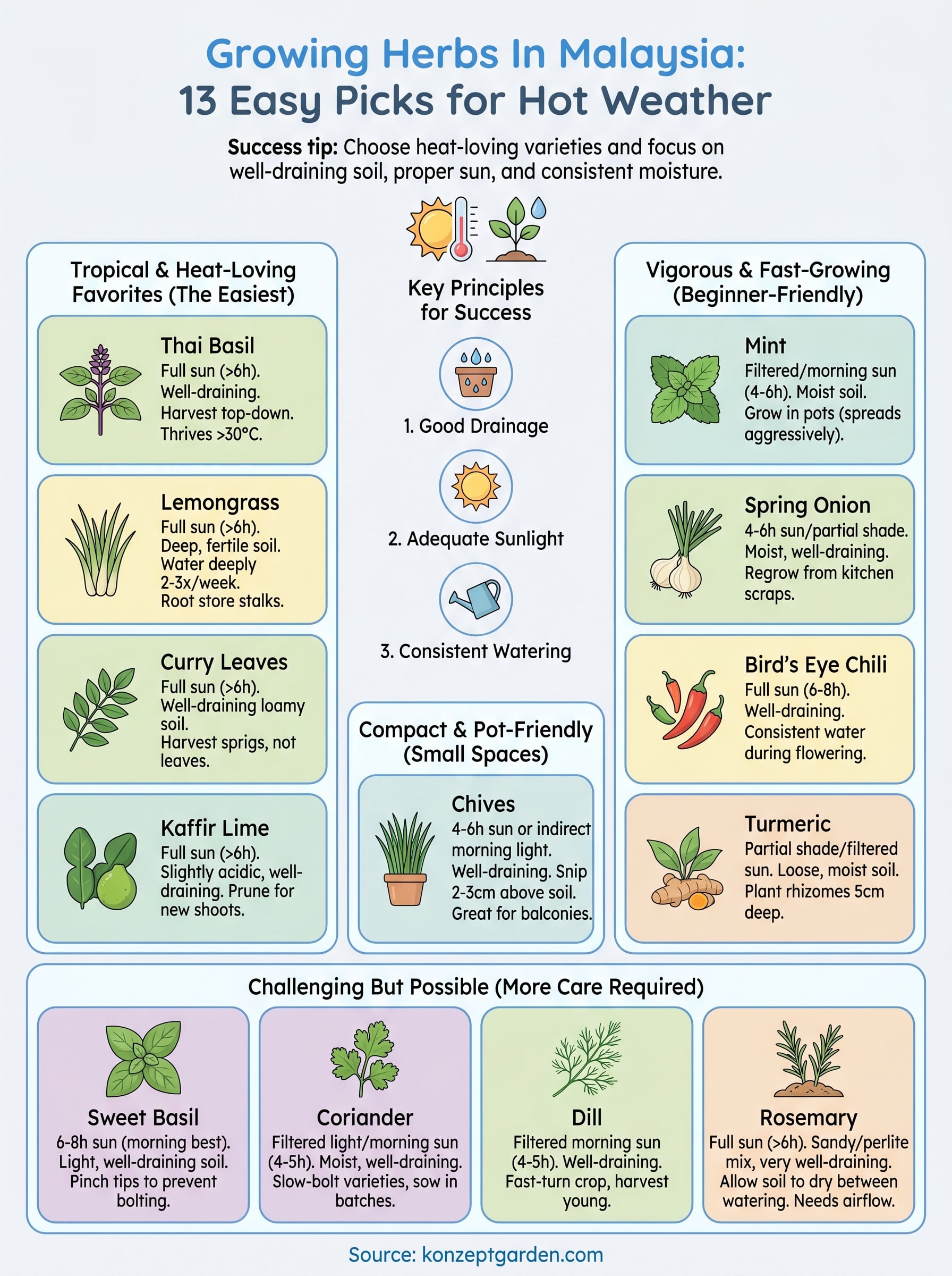 growing herbs in malaysia infographic