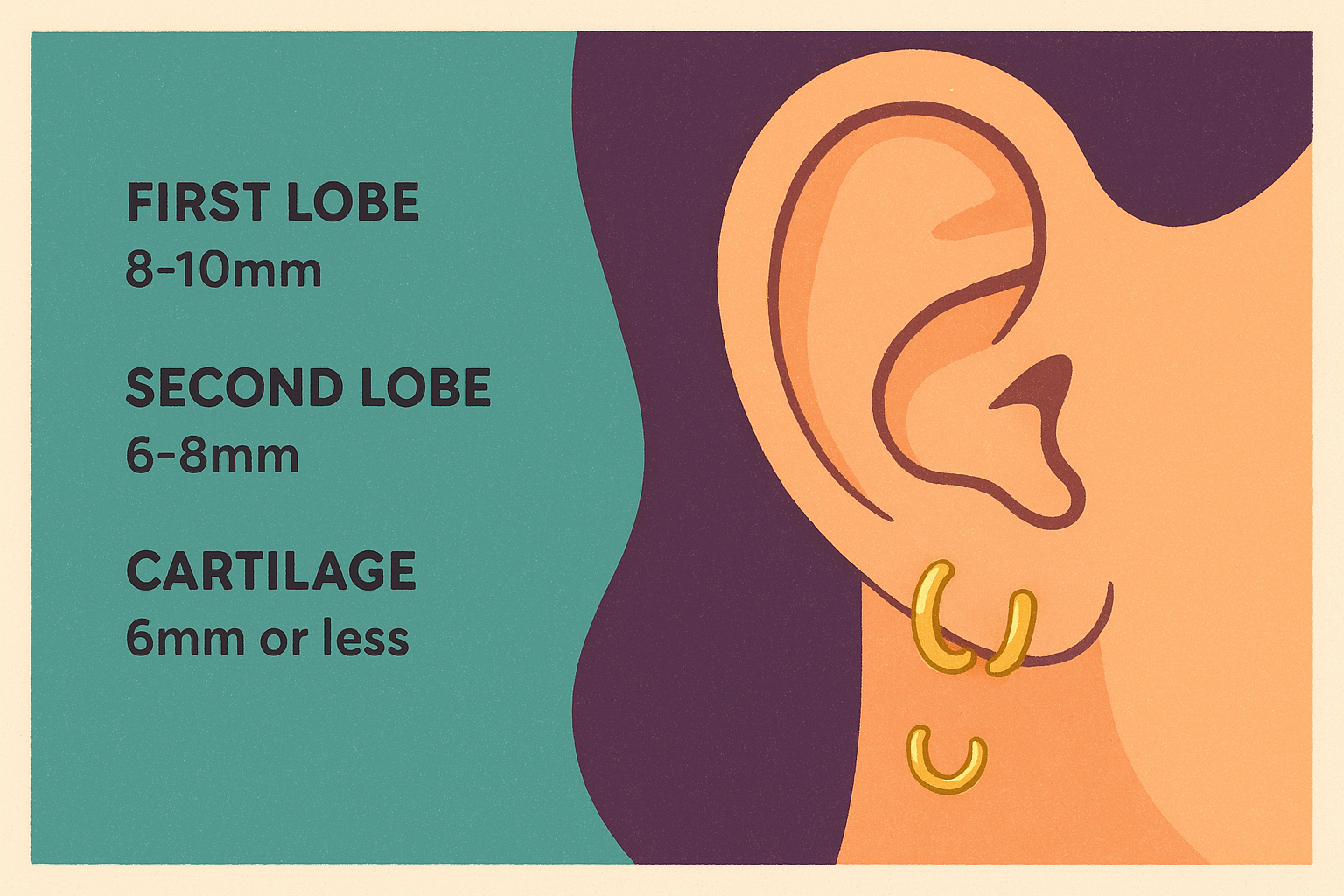 Best sizes for first, second, and cartilage piercings