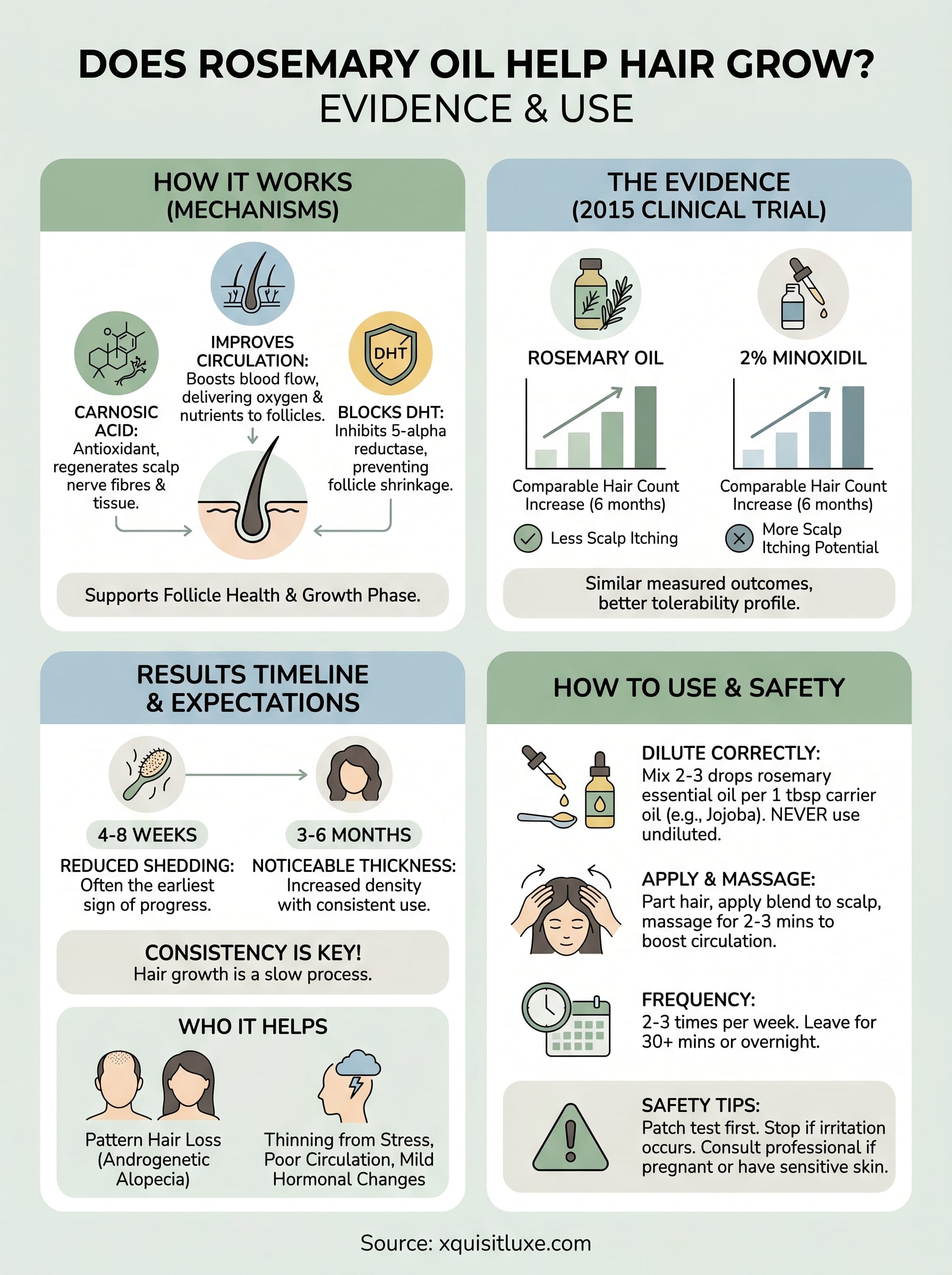 does rosemary oil help hair grow infographic