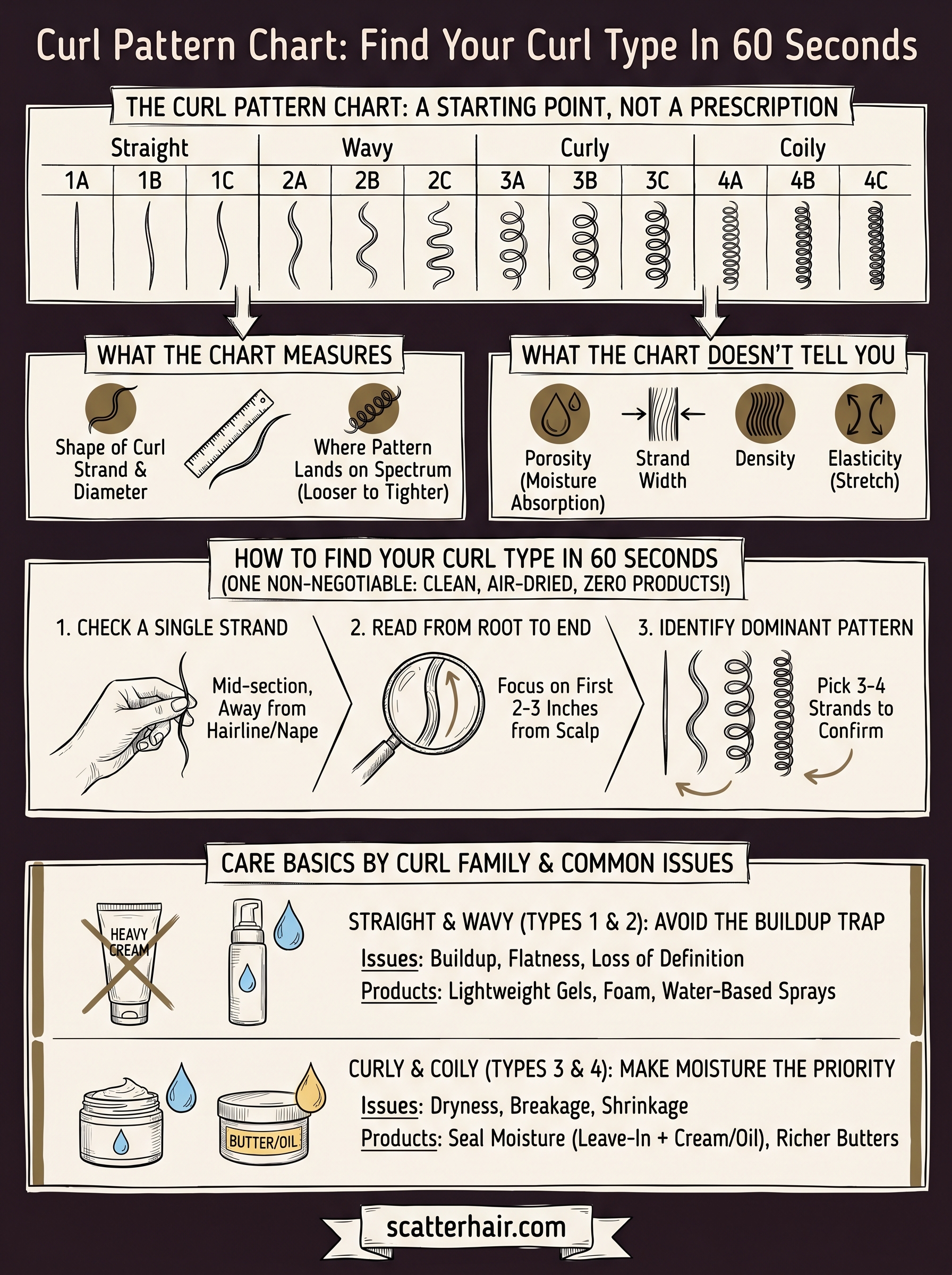 curl pattern chart infographic