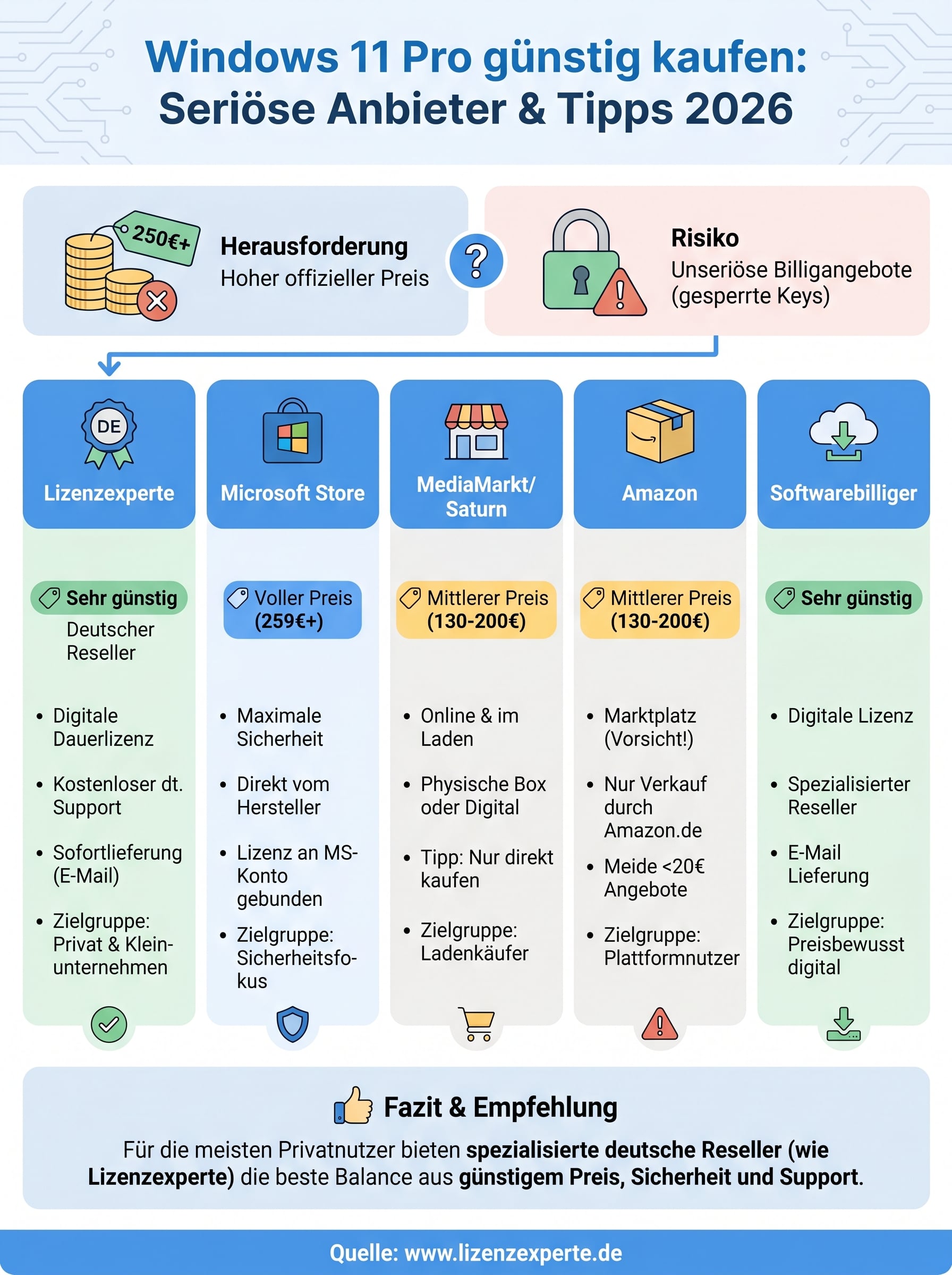 windows 11 pro günstig kaufen infographic