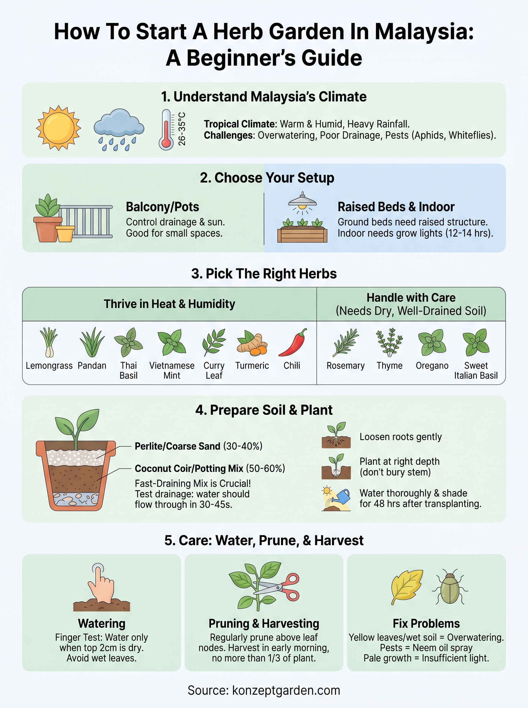 how to start a herb garden infographic