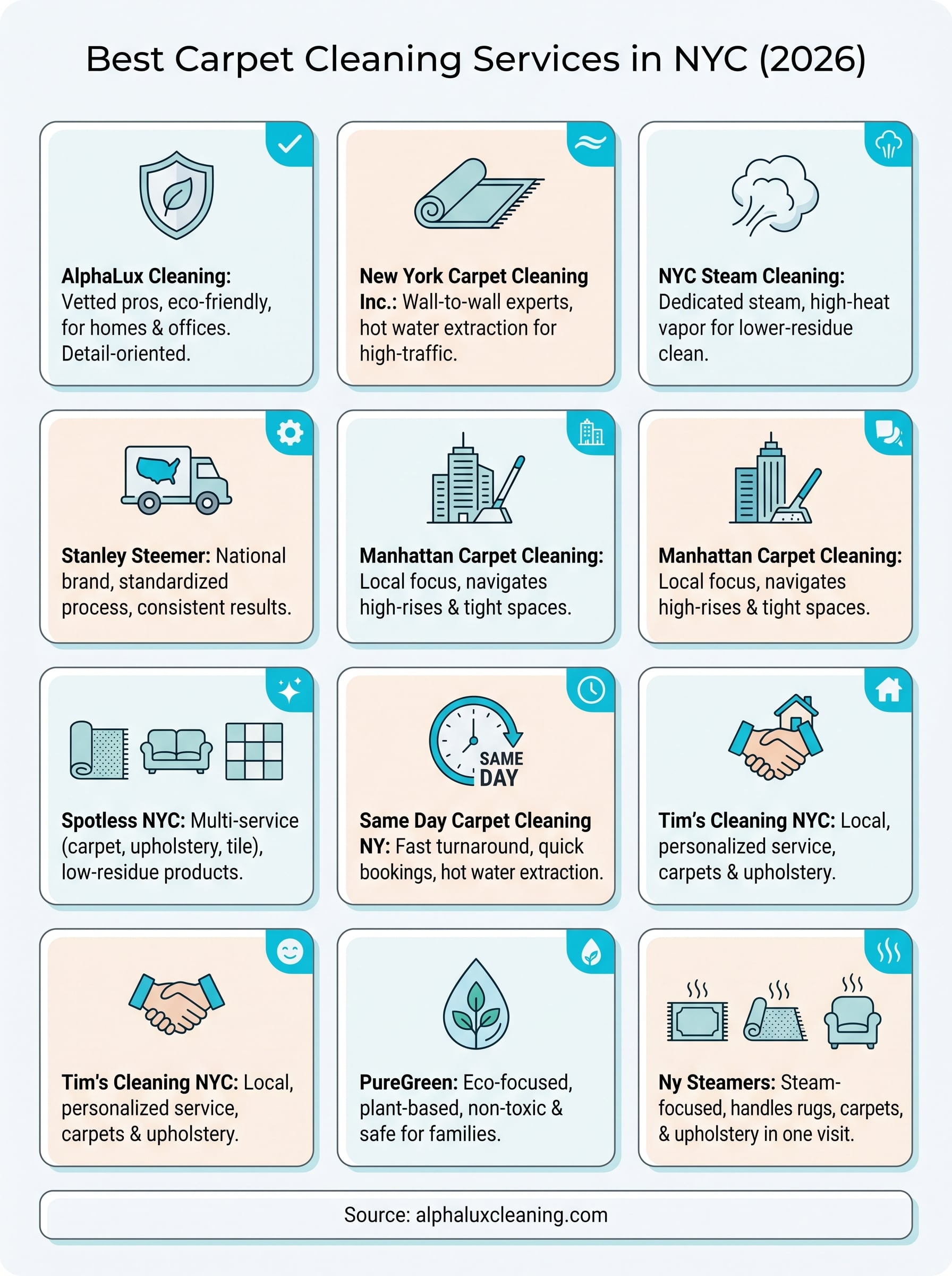 carpet cleaning new york ny infographic