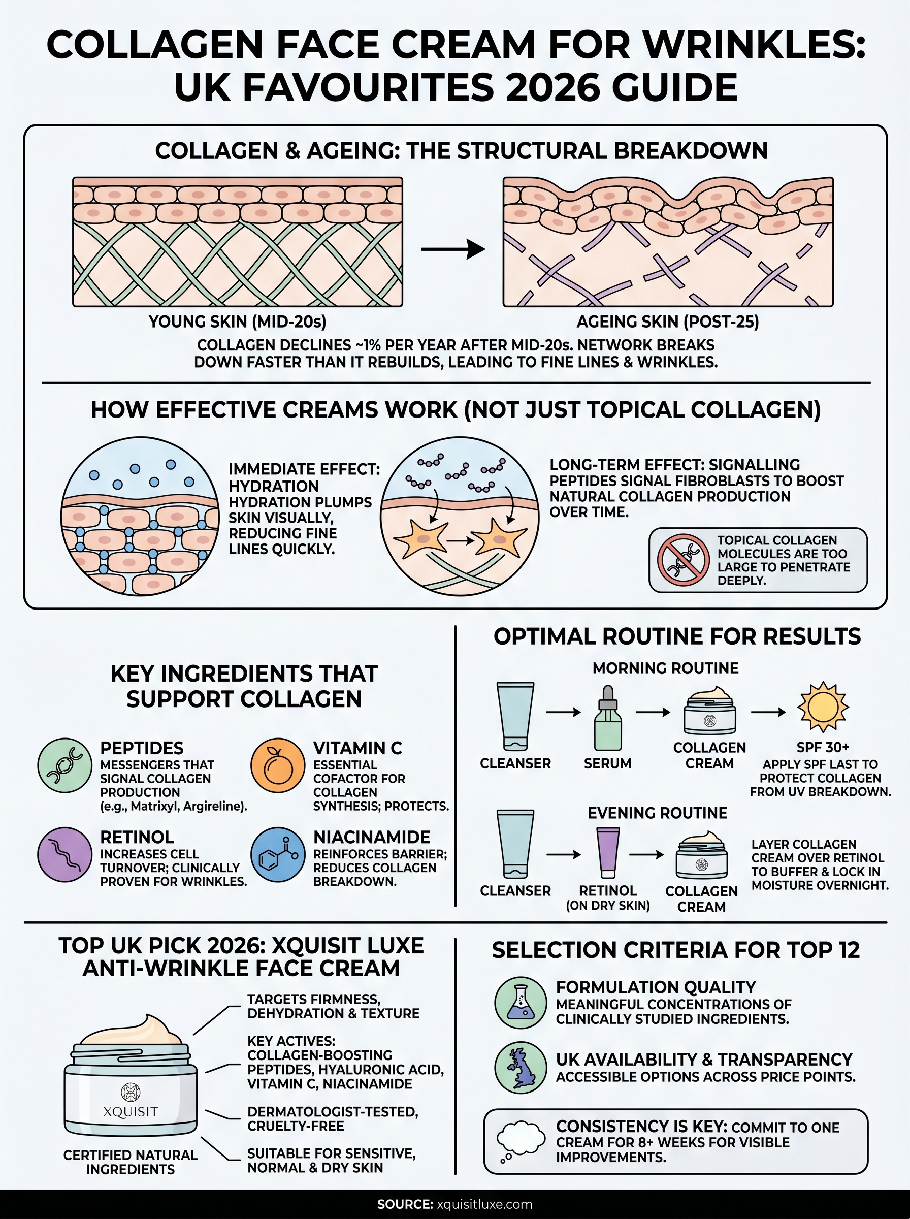 collagen face cream for wrinkles infographic