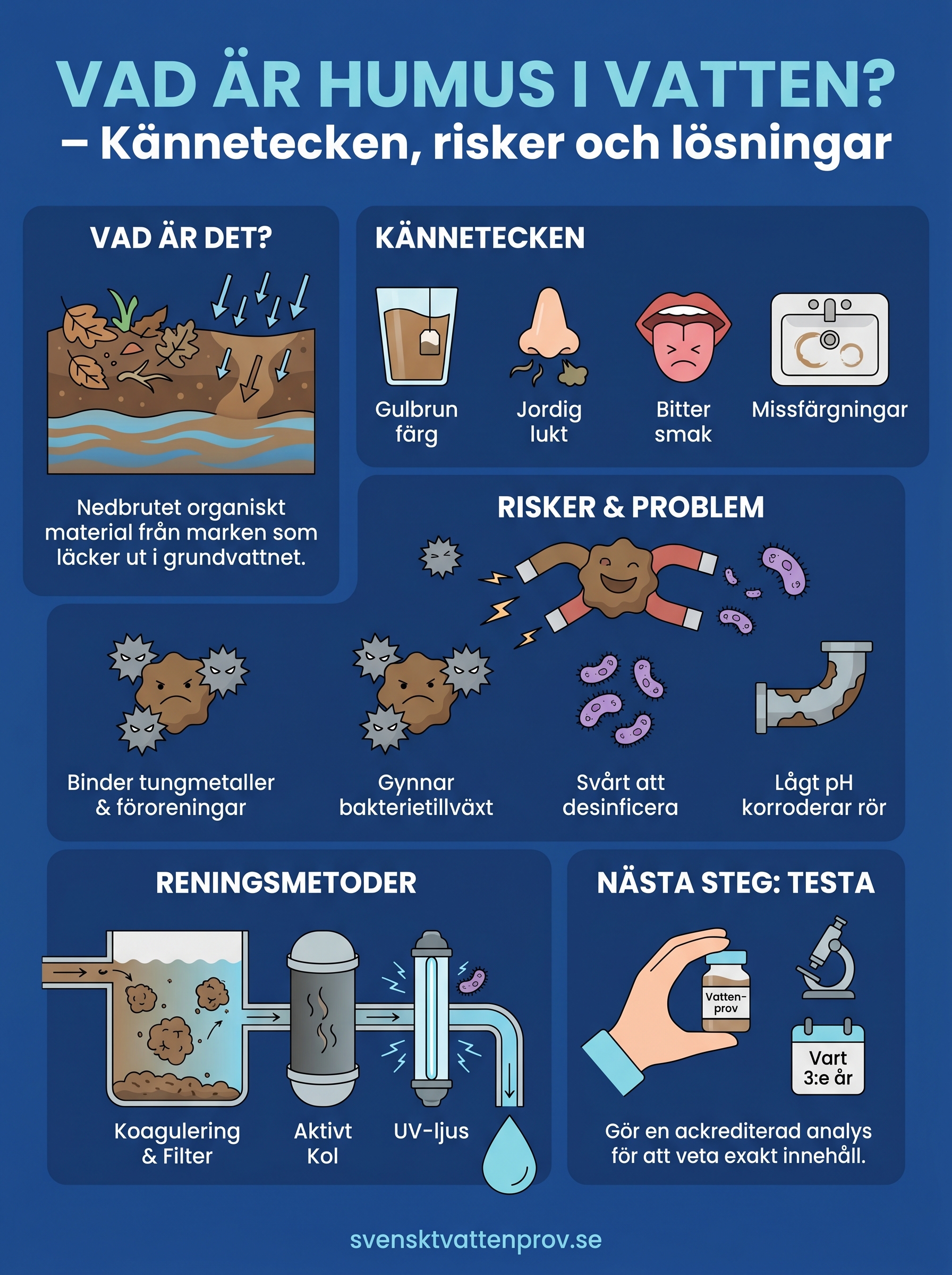 vad är humus i vatten infographic