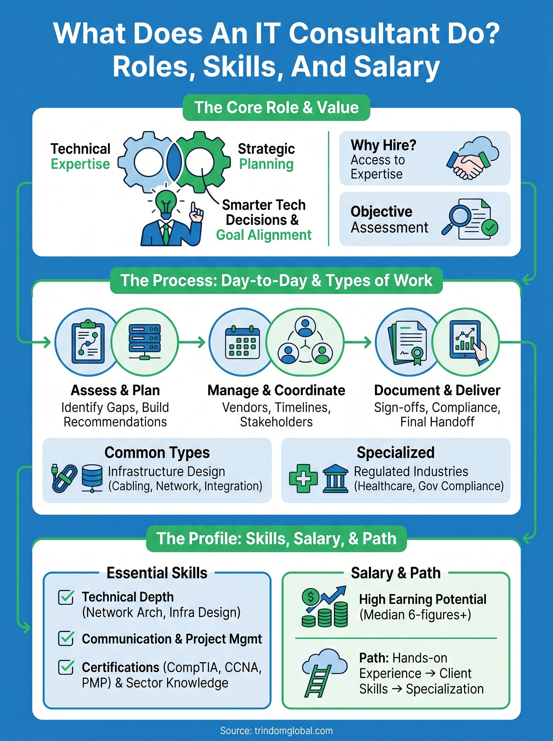 what does an it consultant do infographic