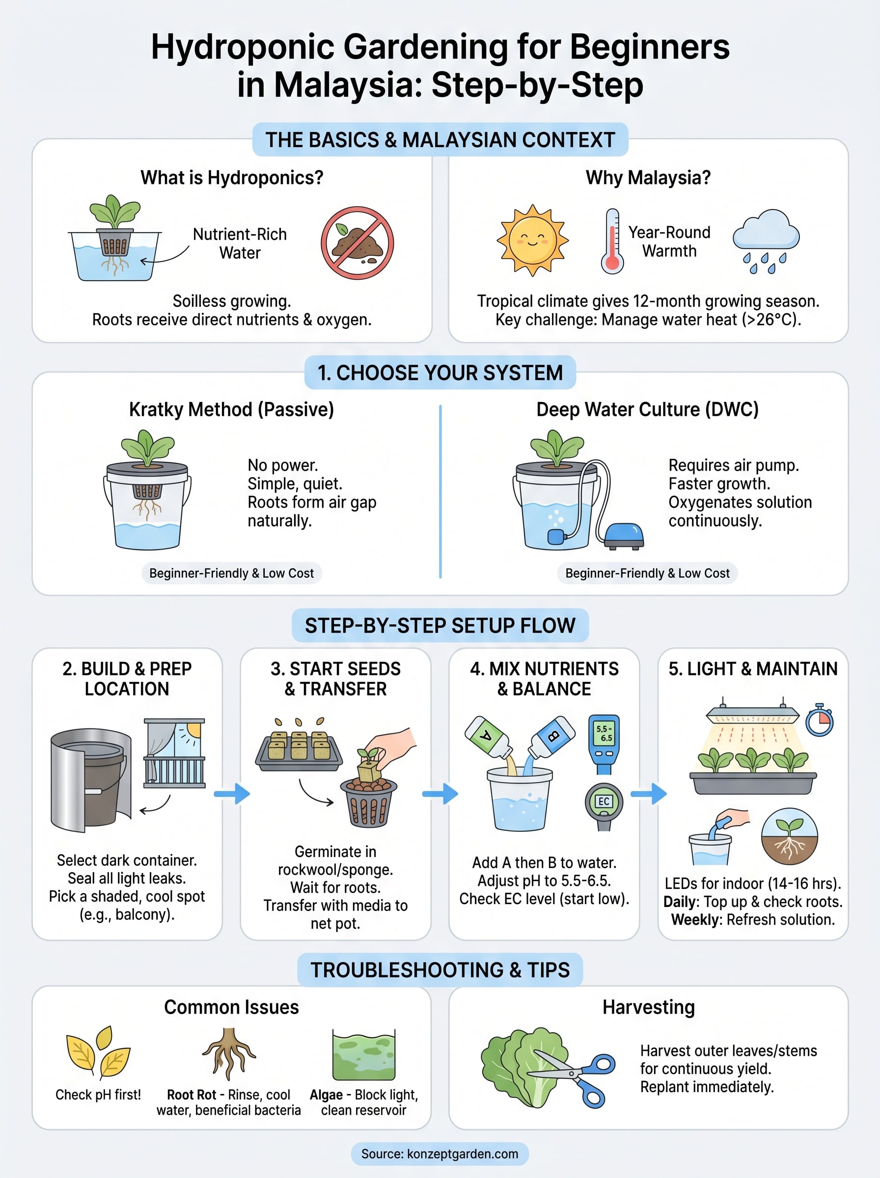 hydroponic gardening for beginners infographic